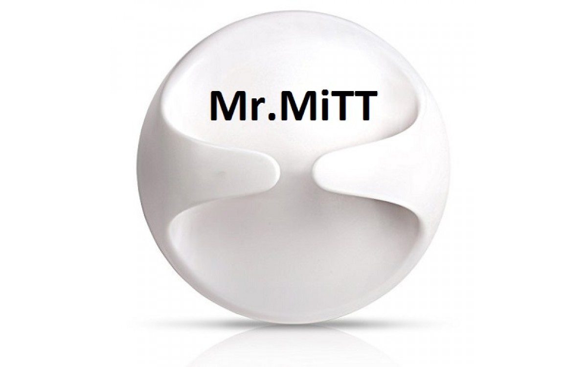 Mr.MiTT